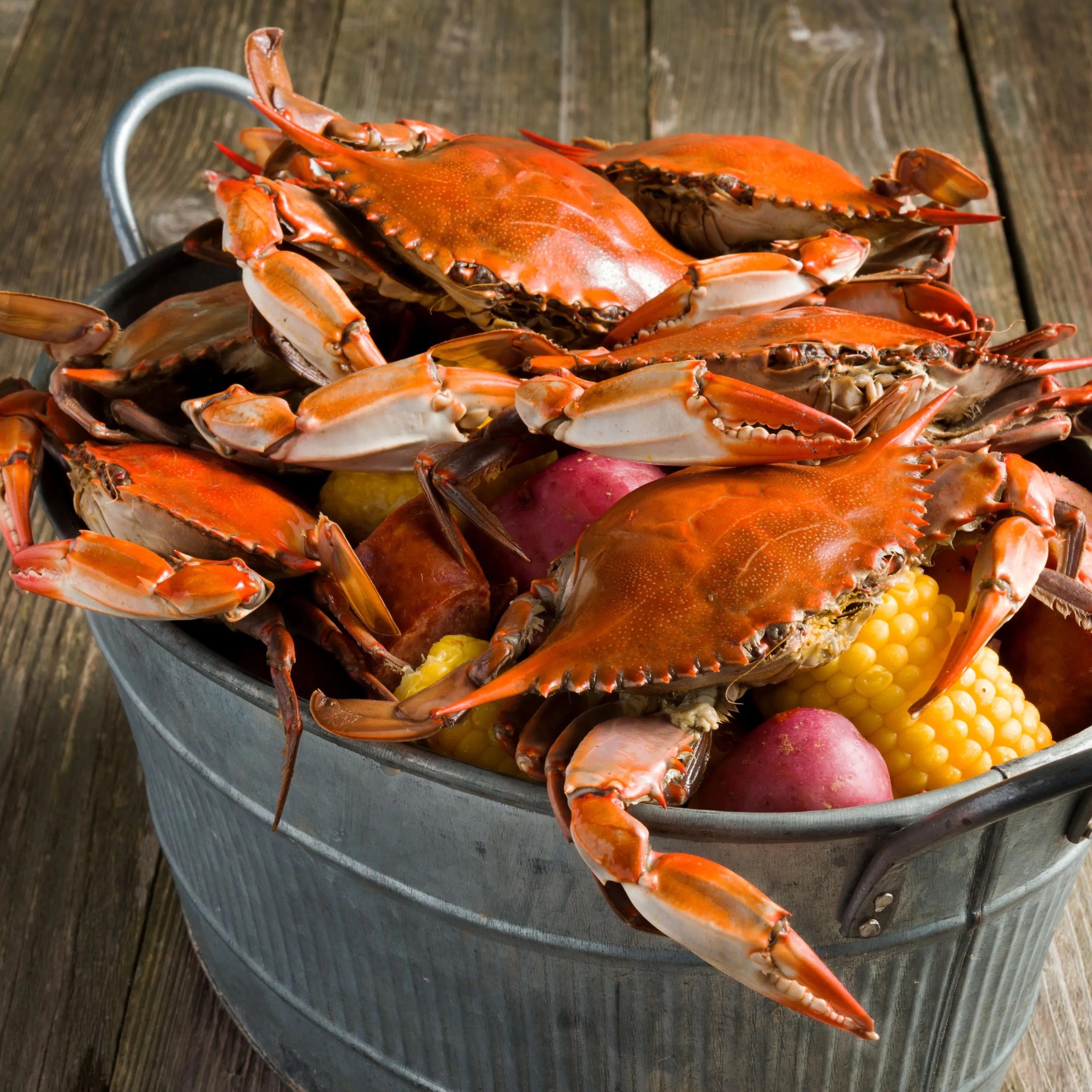 Seafood 101: How to Store and Handle Fresh Catch