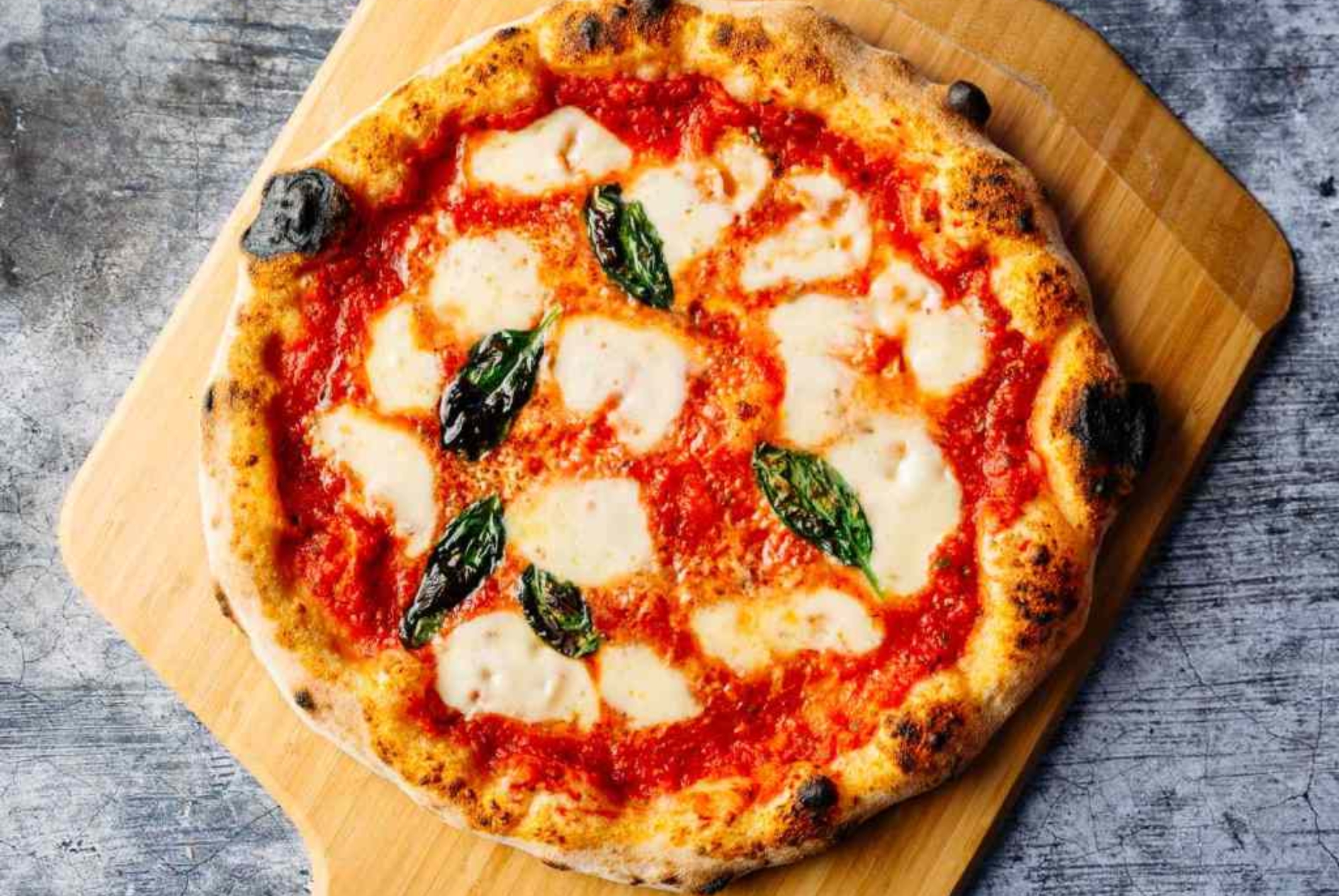 Best Pizza to try at Mi Bella Puebla Pizzeria in East Brunswick