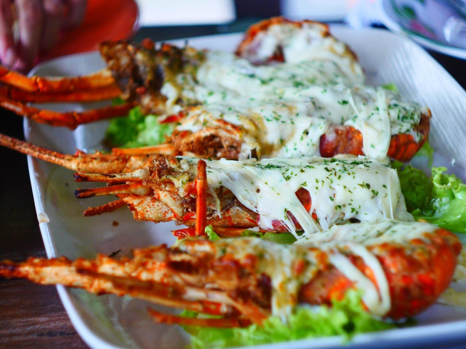 7oz Tandoori Lobster