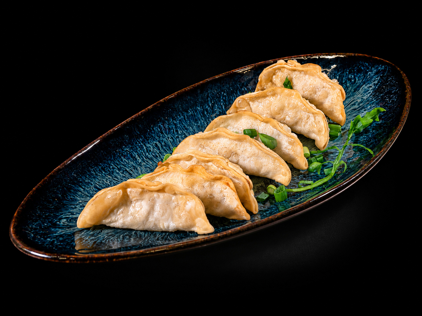 Chicken Momos - Pan Fried