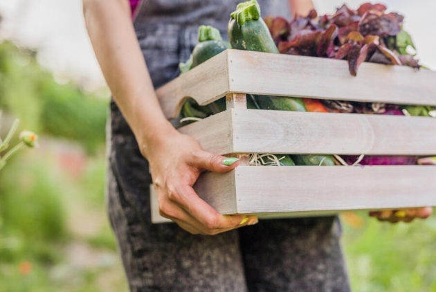 The Stories Behind Our Ingredients